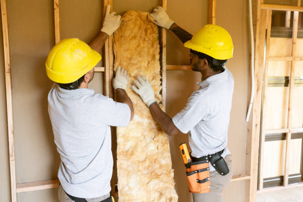 Best Attic Insulation Installation  in West Canton, NC